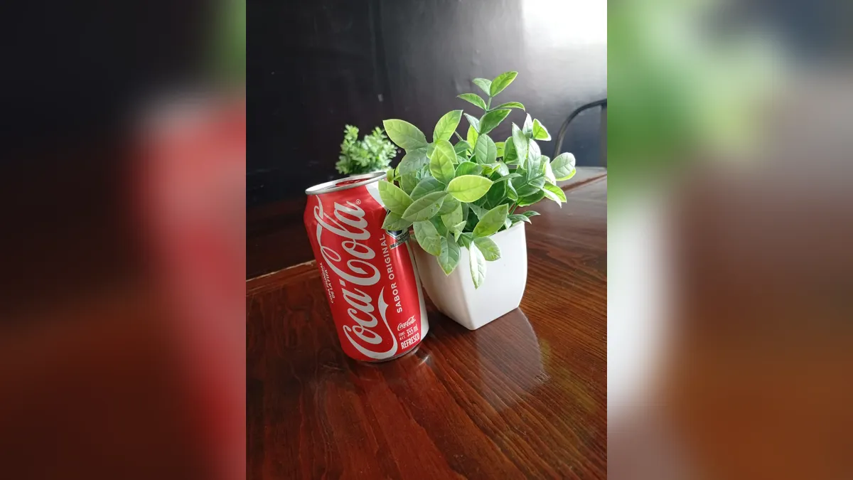 Coca Cola Regular